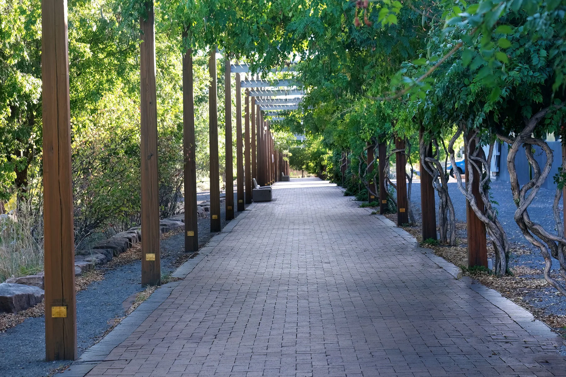 garden path